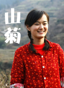 不卡视频一区二区三区